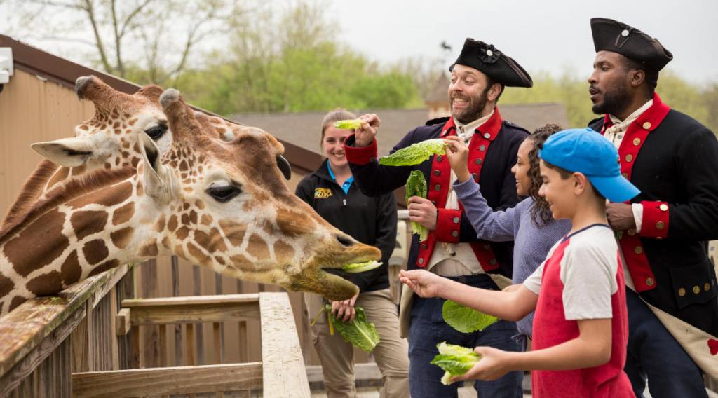 elmwood park zoo