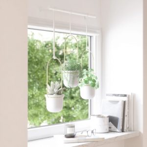 hanging planter